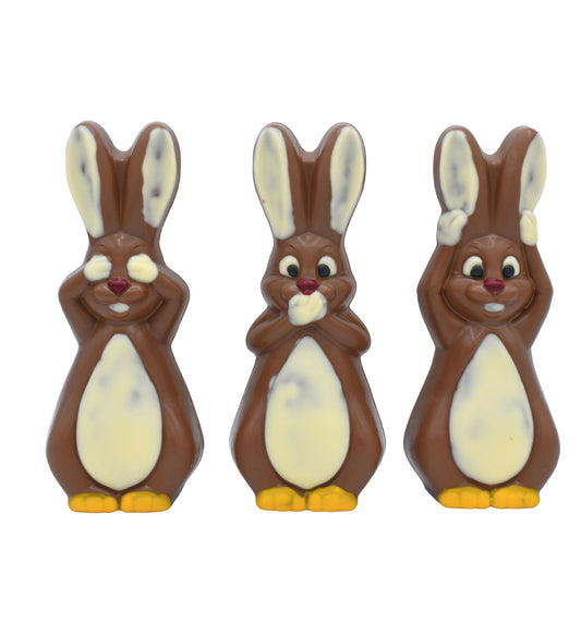 Lapins de sagesse au chocolat au lait