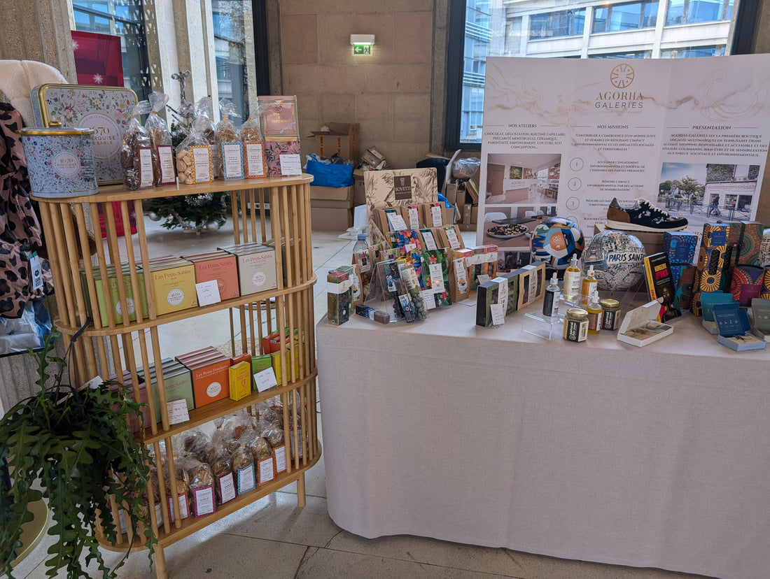 Noël solidaire au CESE : AGORHA GALERIES au cœur de l’Économie Sociale et Solidaire 🎄