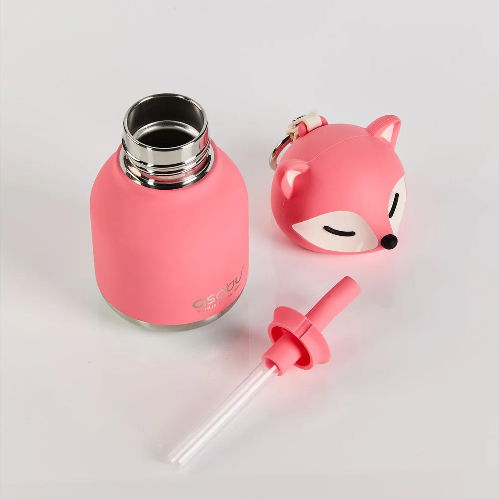 Mini gourde renard Bestie