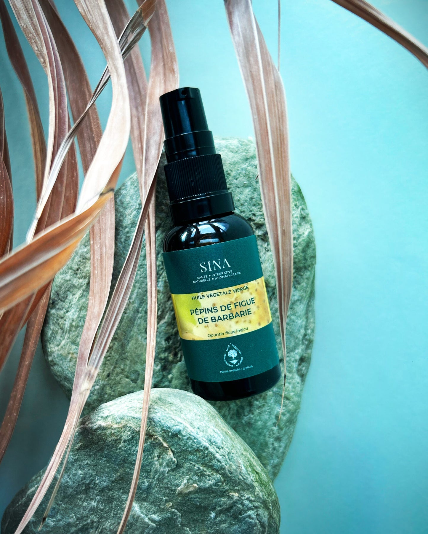 Huile végétale de pépins de figue de barbarie - 30ml