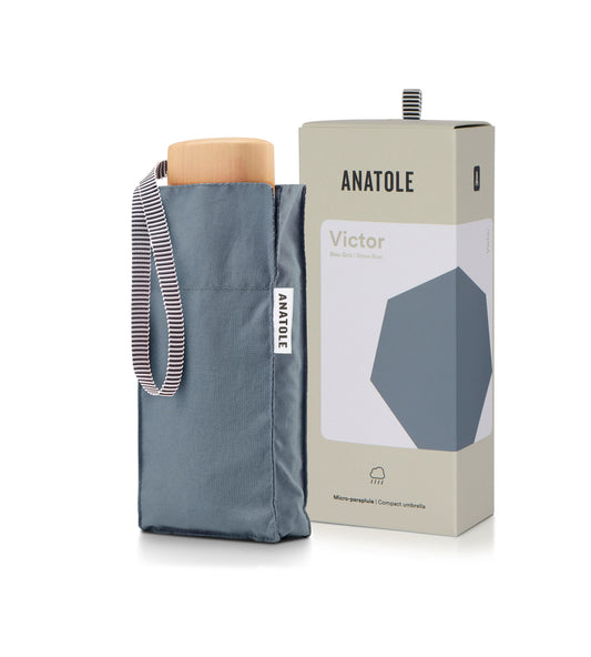 Mini parapluie micro et solide bleu gris VICTOR