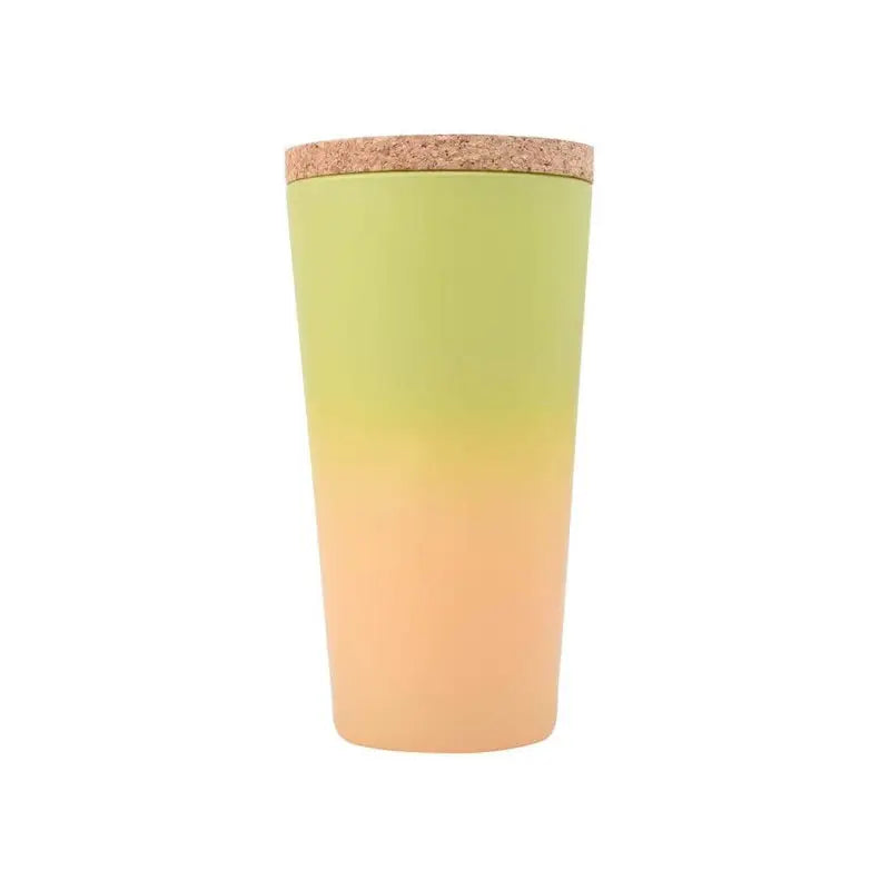 Mangue passion rooibos glacé bio 8 SACHETS