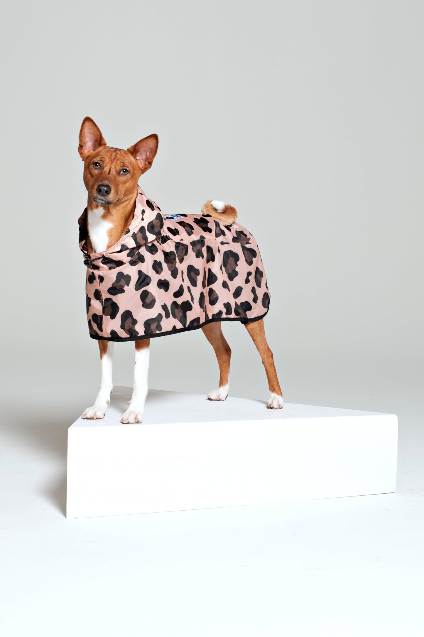 Dog poncho Pink Panther