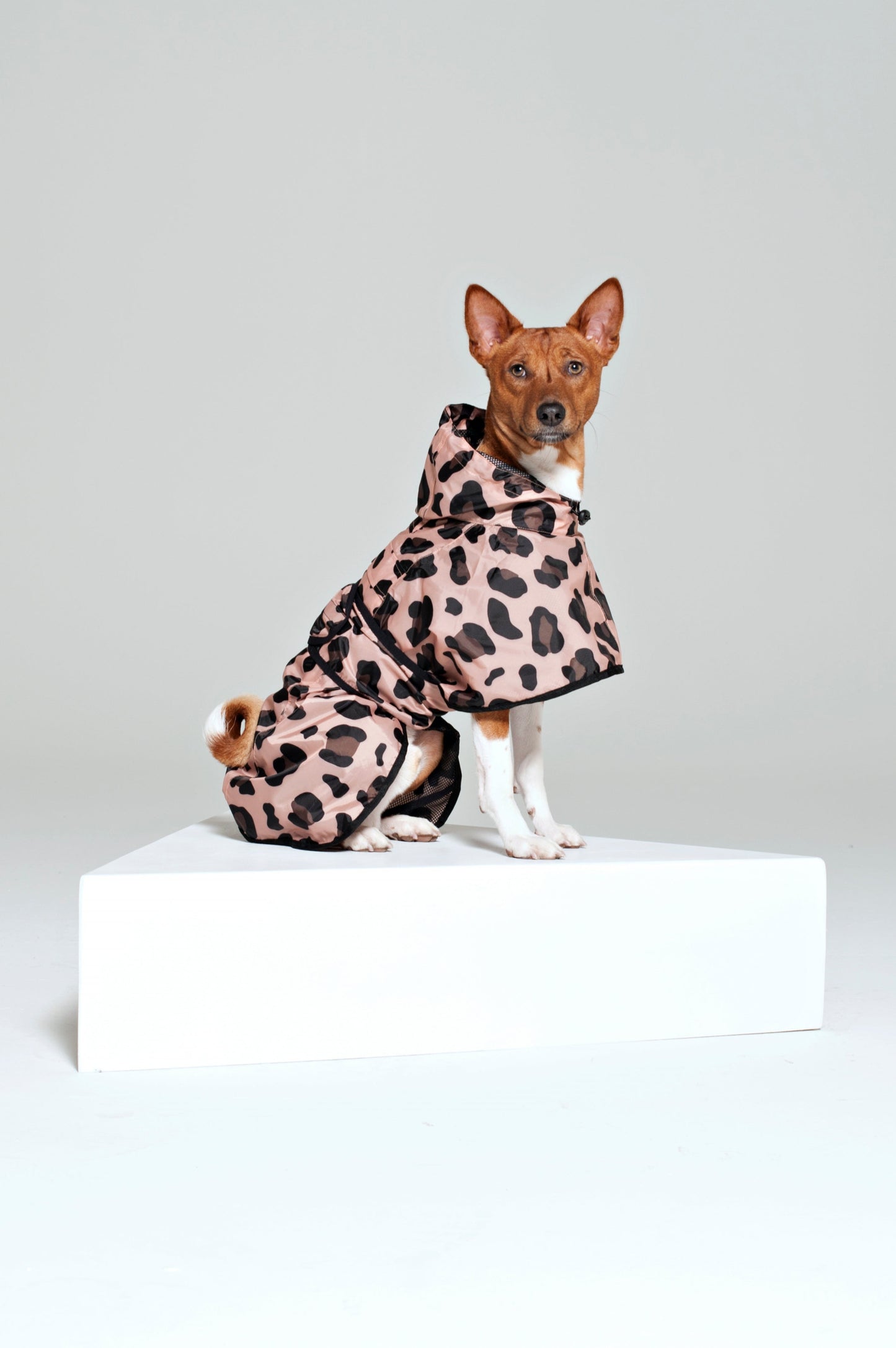 Dog poncho Pink Panther