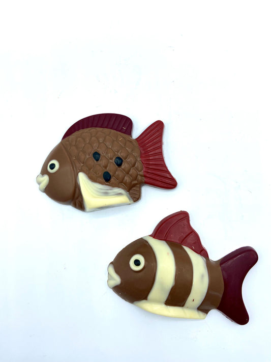 Poissons exotiques - Chocolat au lait